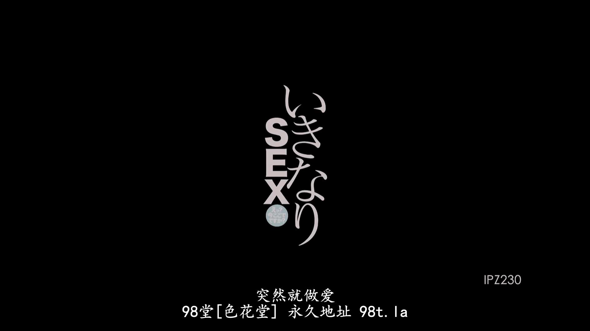 IPZ-230 [无码破解]毫无预兆突然就被插入做爱 冬月枫