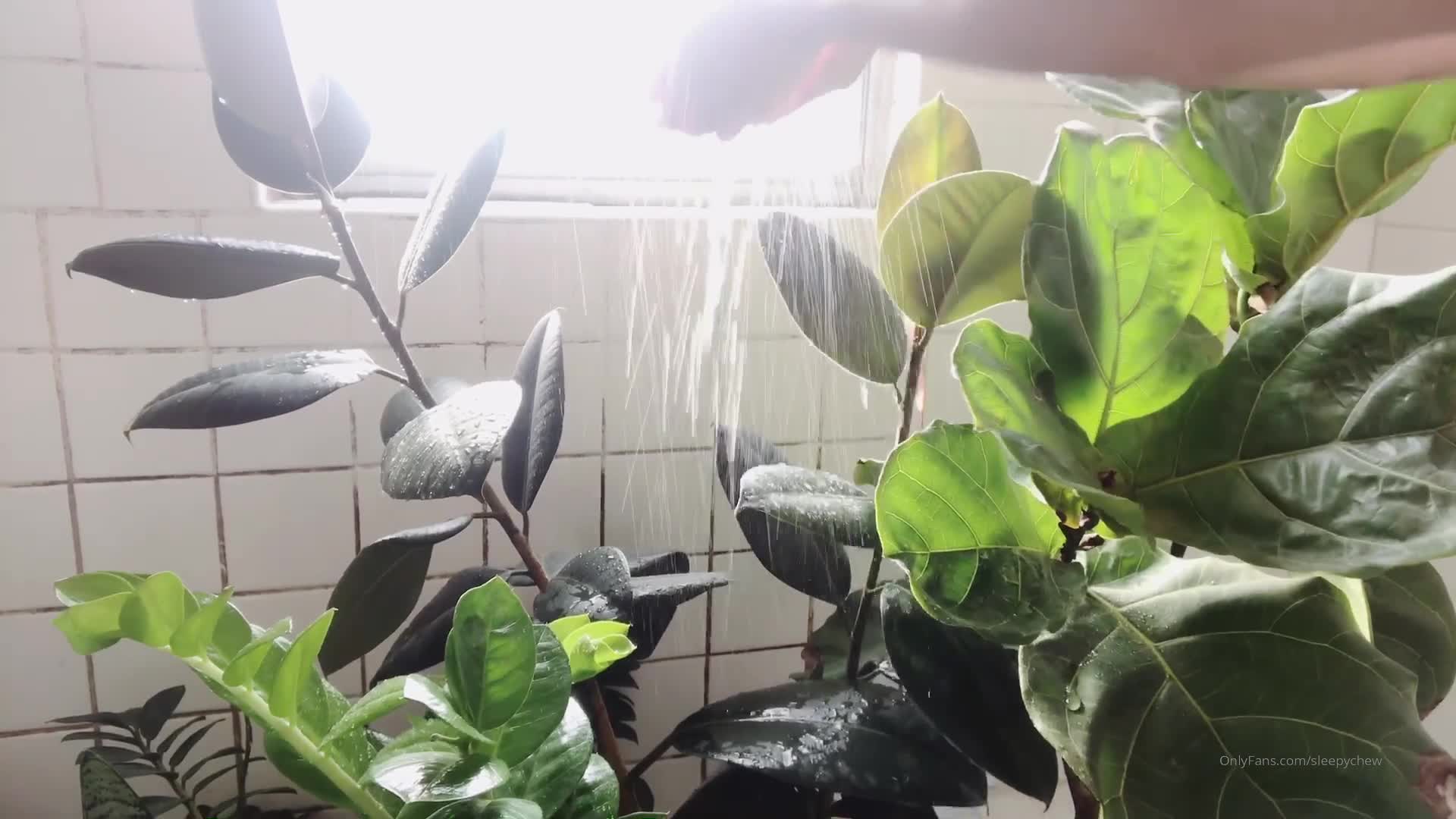 vid_192