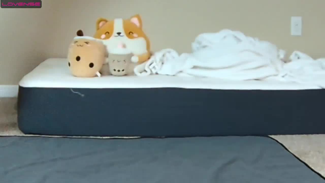 vid_79