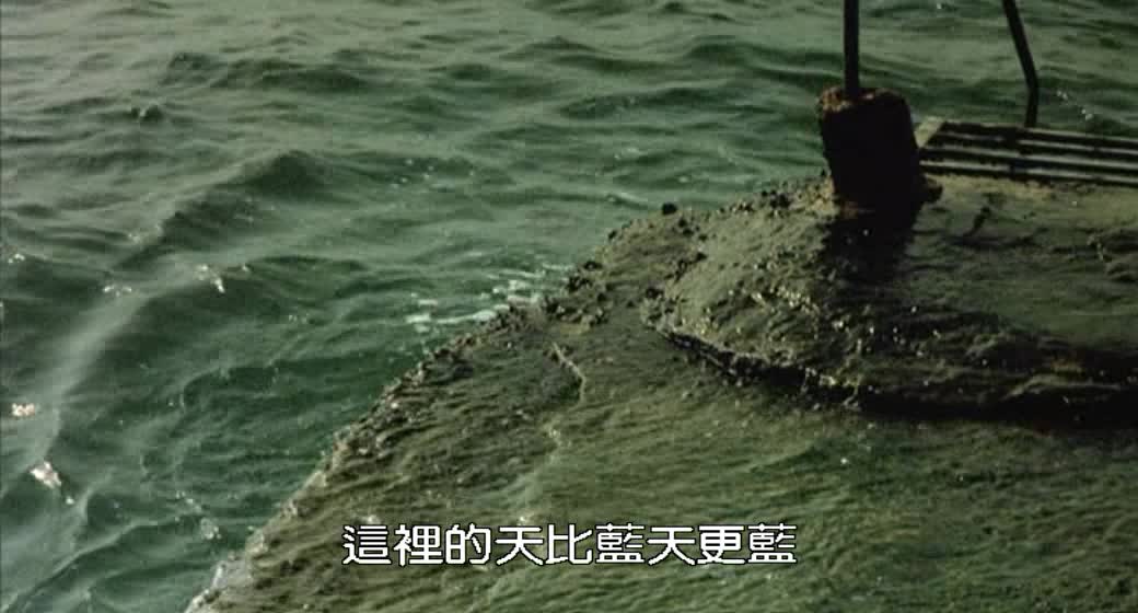 青苔
