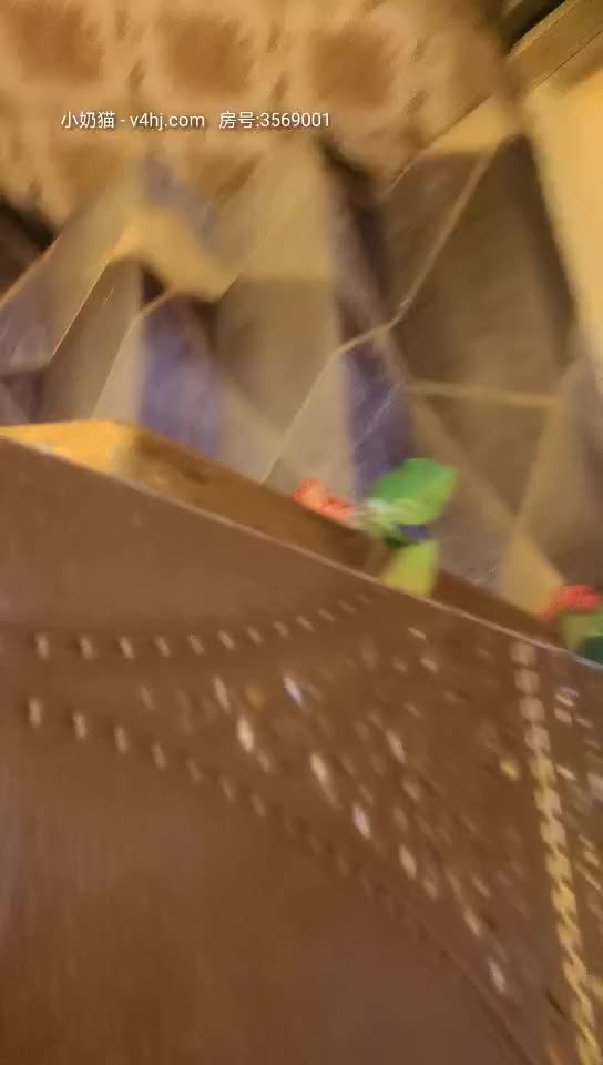 sp36