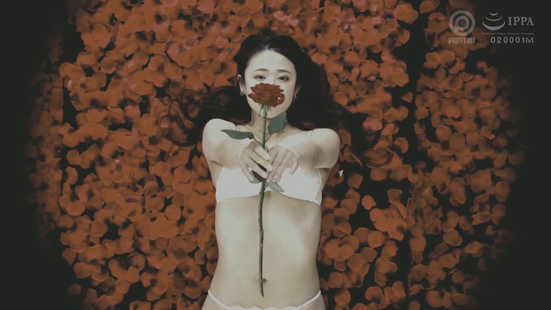 2048.cc - KBR-003-UC