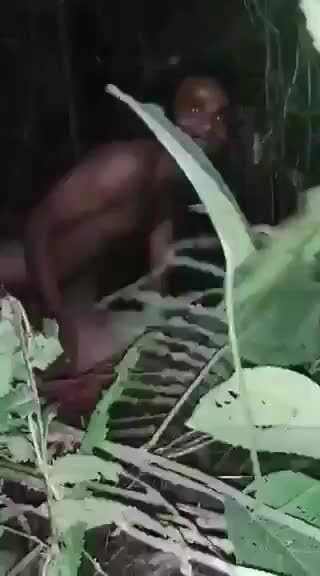1 (47)