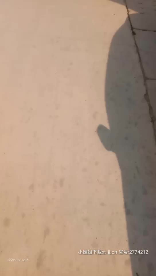 1 (23)