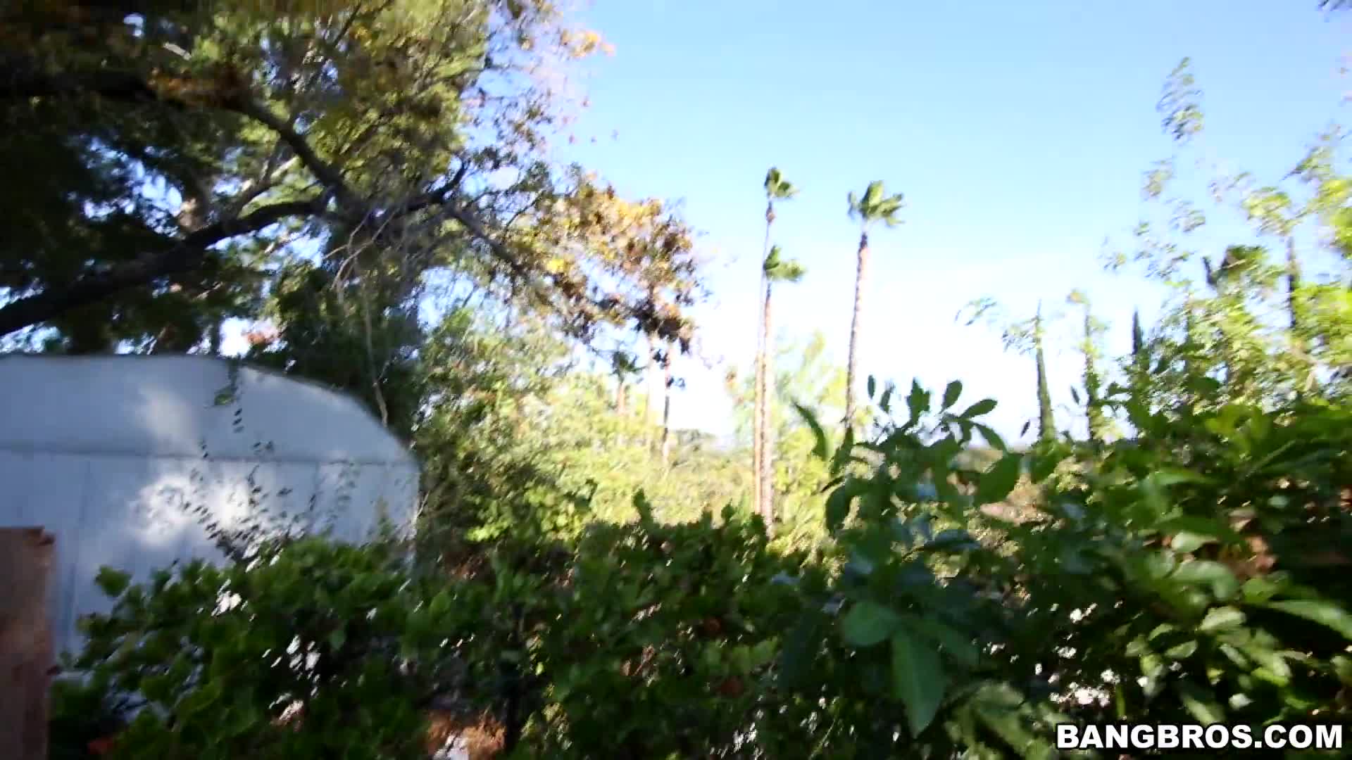 2014.12.23.BangBros.Petite Riley Reid loves big black dick.mc13681