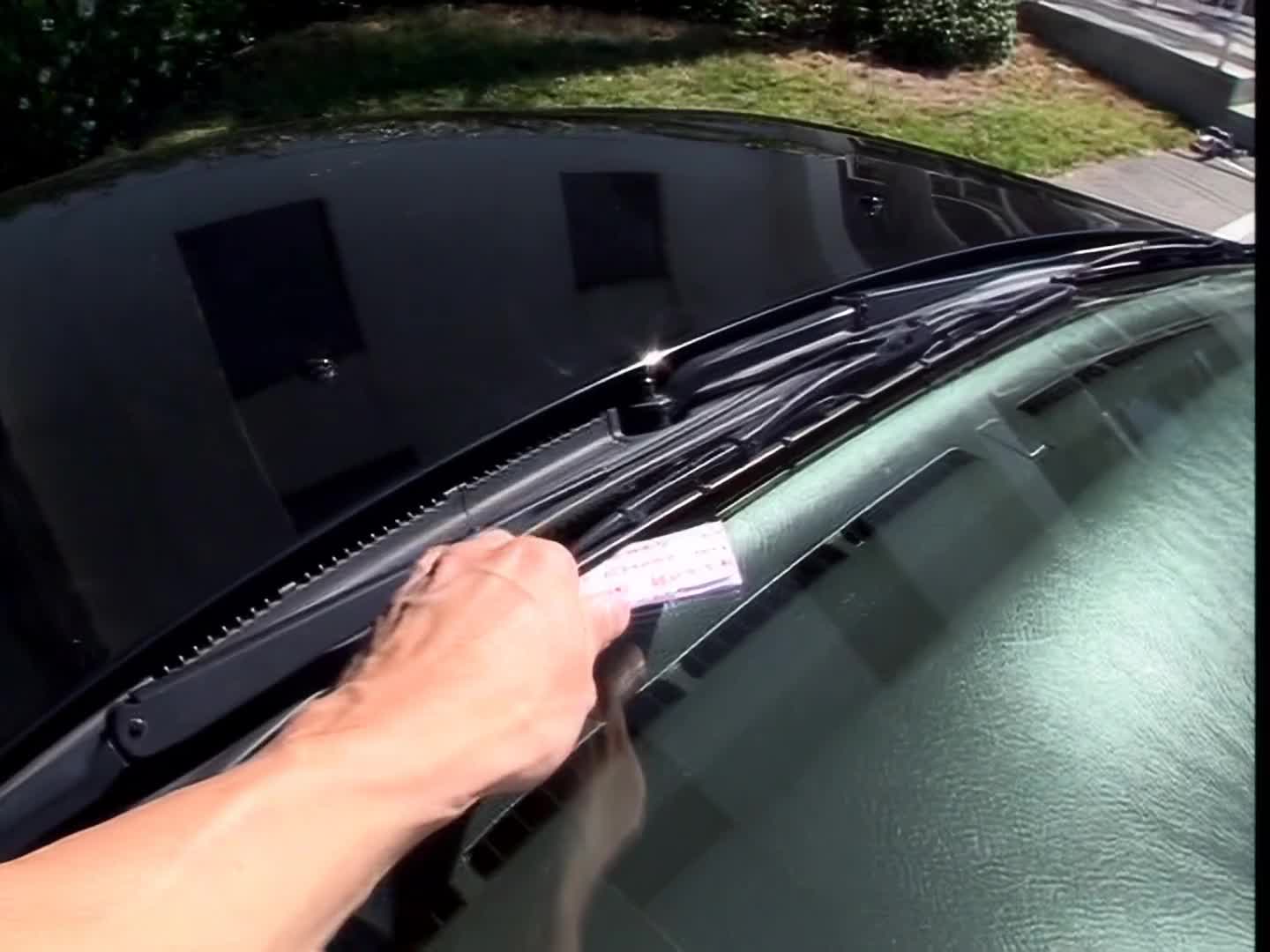 Sasha Grey - Twisted Vision 4