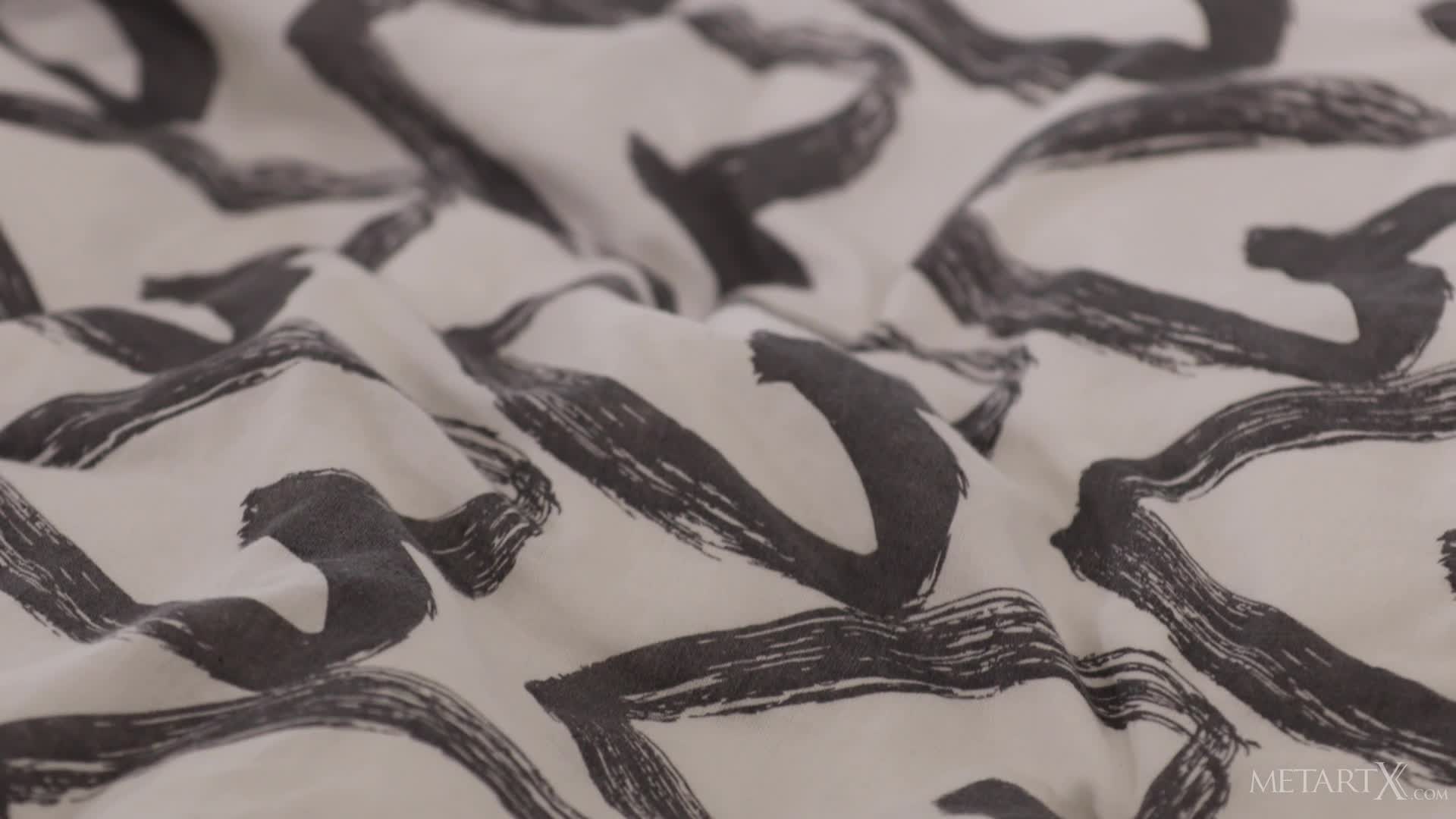 2048.cc -metartx.24.03.21.sirena.milano.i.spy.2