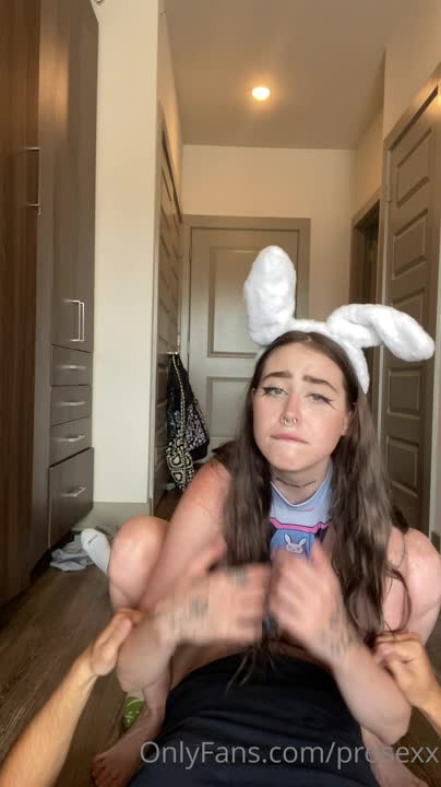 vid_282