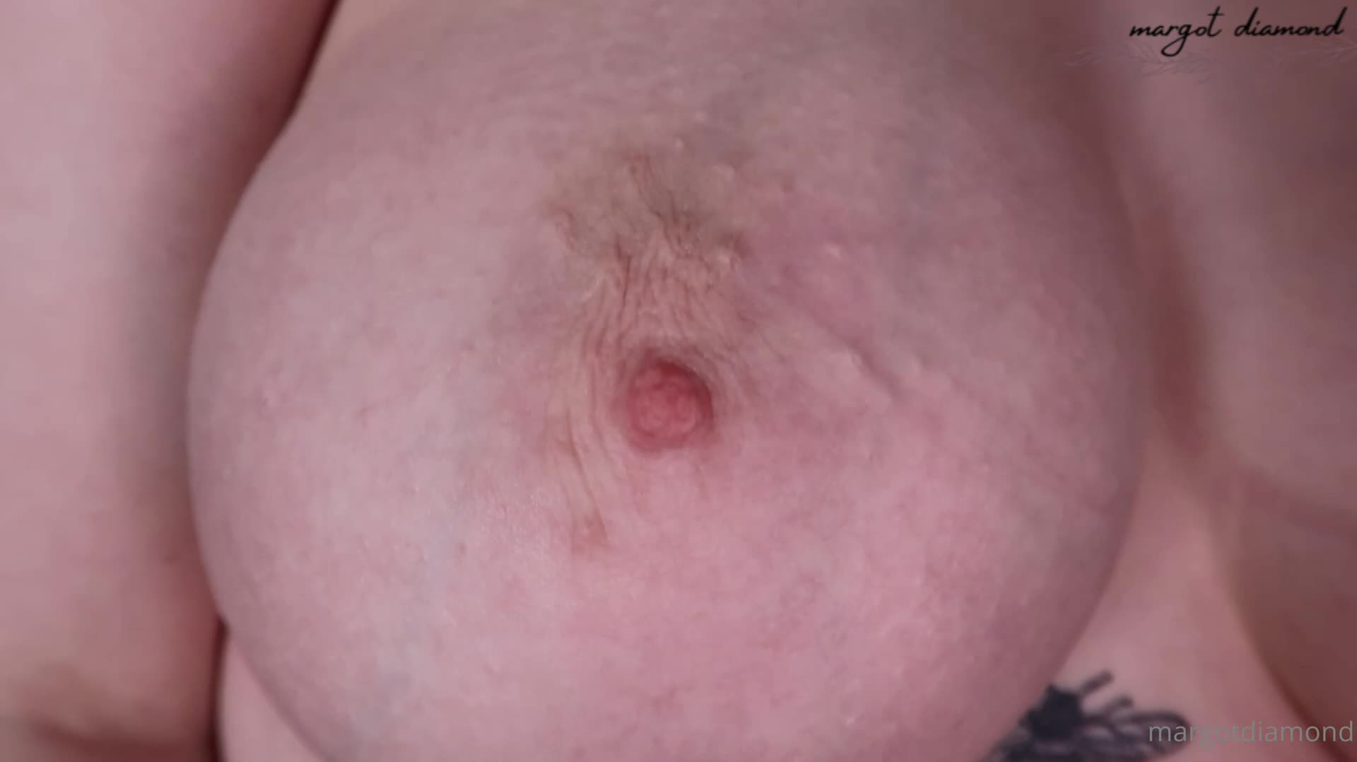 2 (96)