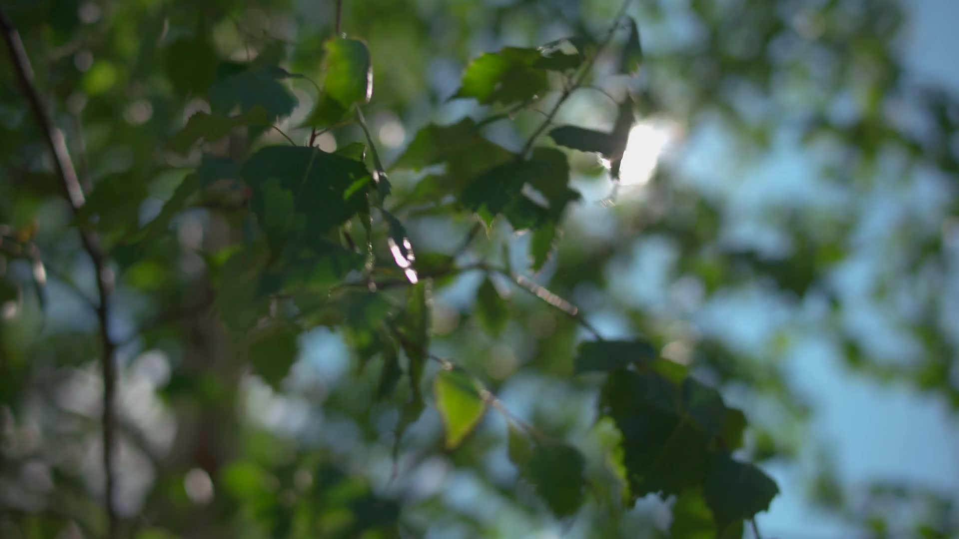 2048.cc -hegre.24.03.26.a.day.in.the.life.of.toree