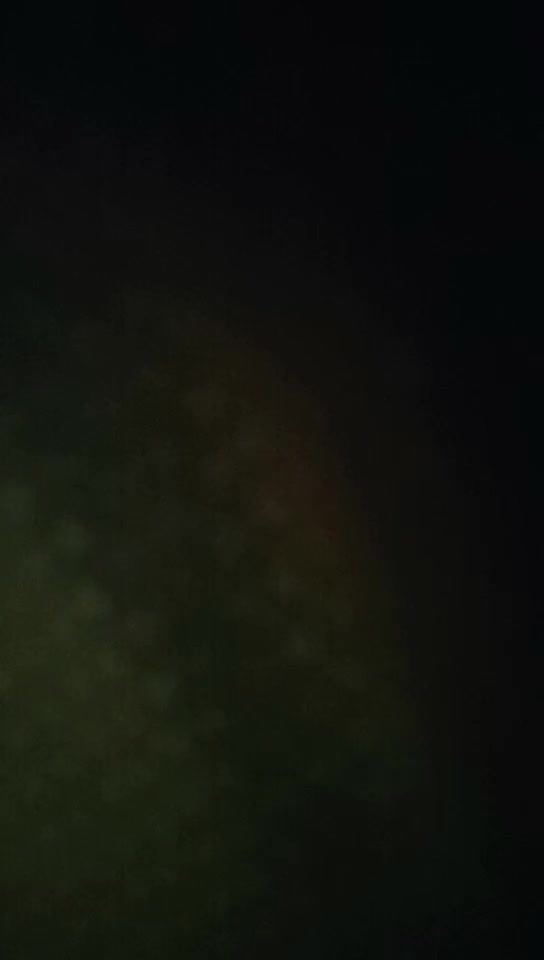 1 (41)