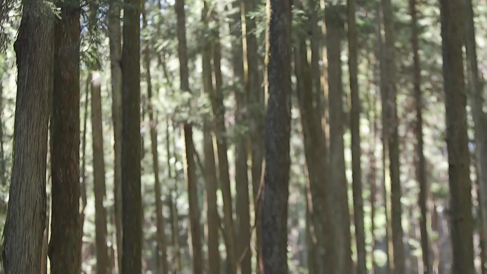 2048.cc - STARS-247-C