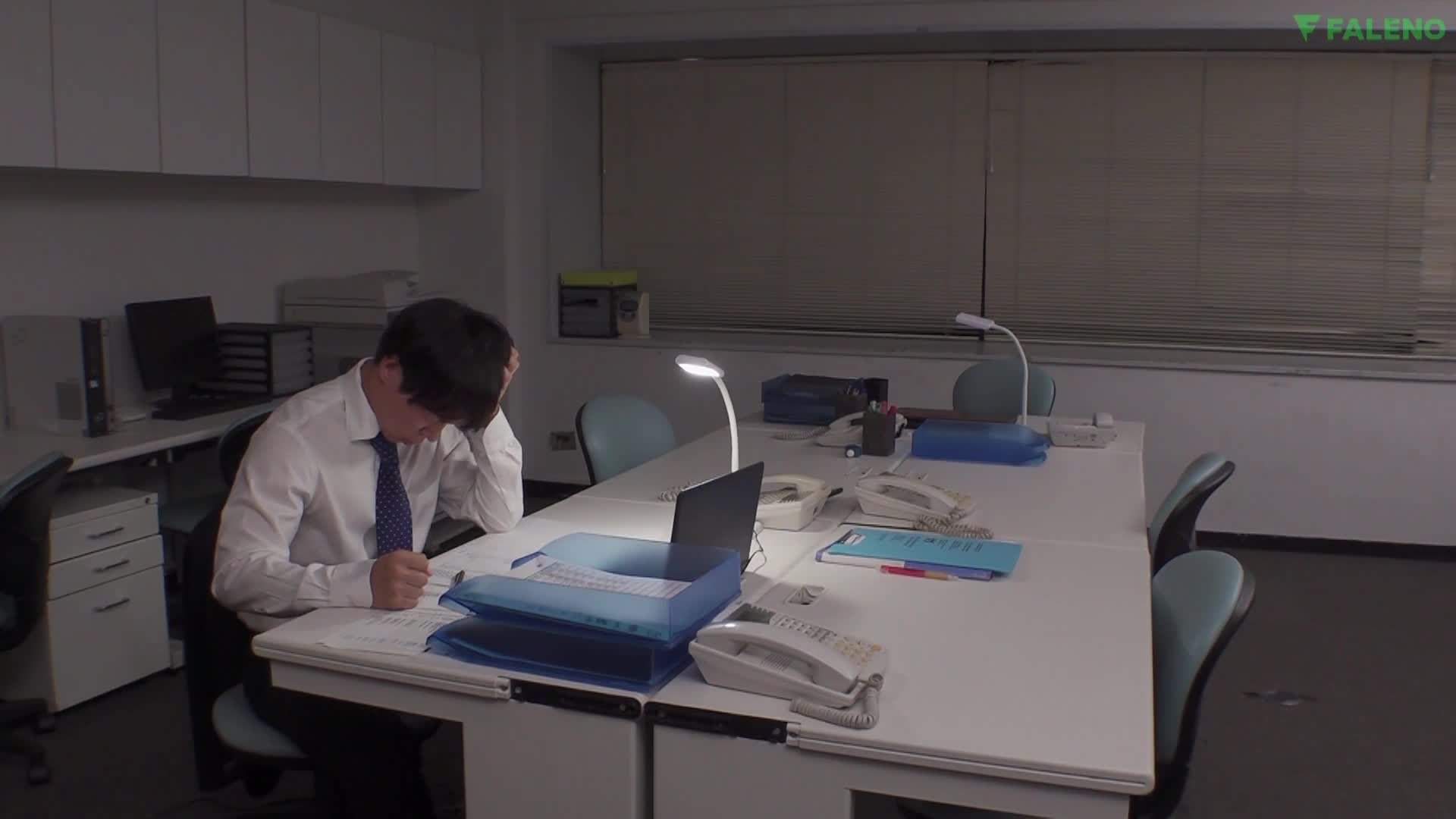 2048.cc - FSDSS-500-C