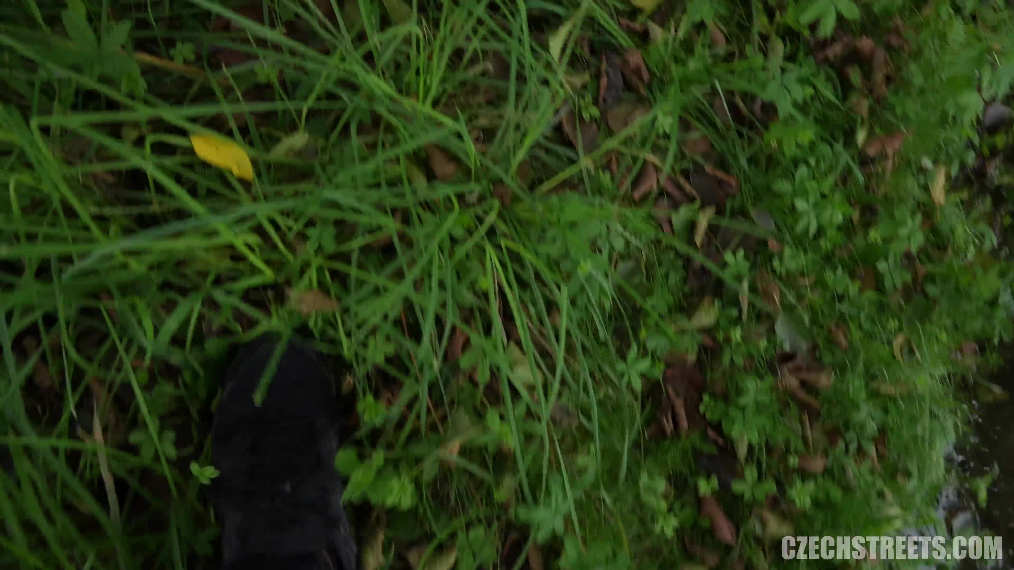 css.e147.secret.nude.beach.in.prague.4k