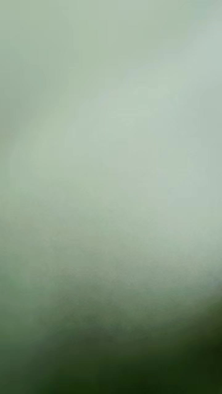 1 (24)