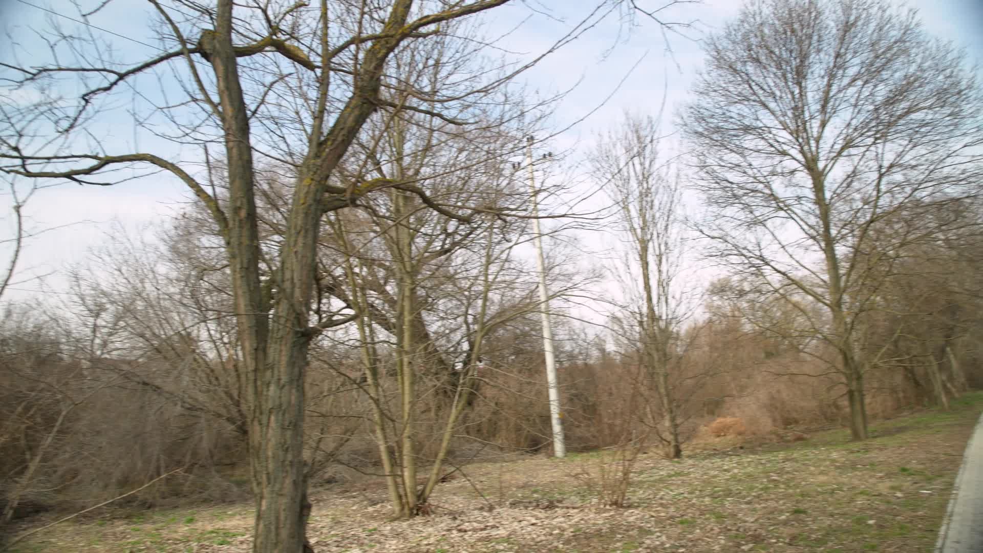 2048.cc -hunt4k.24.03.18.alice.zaffyre