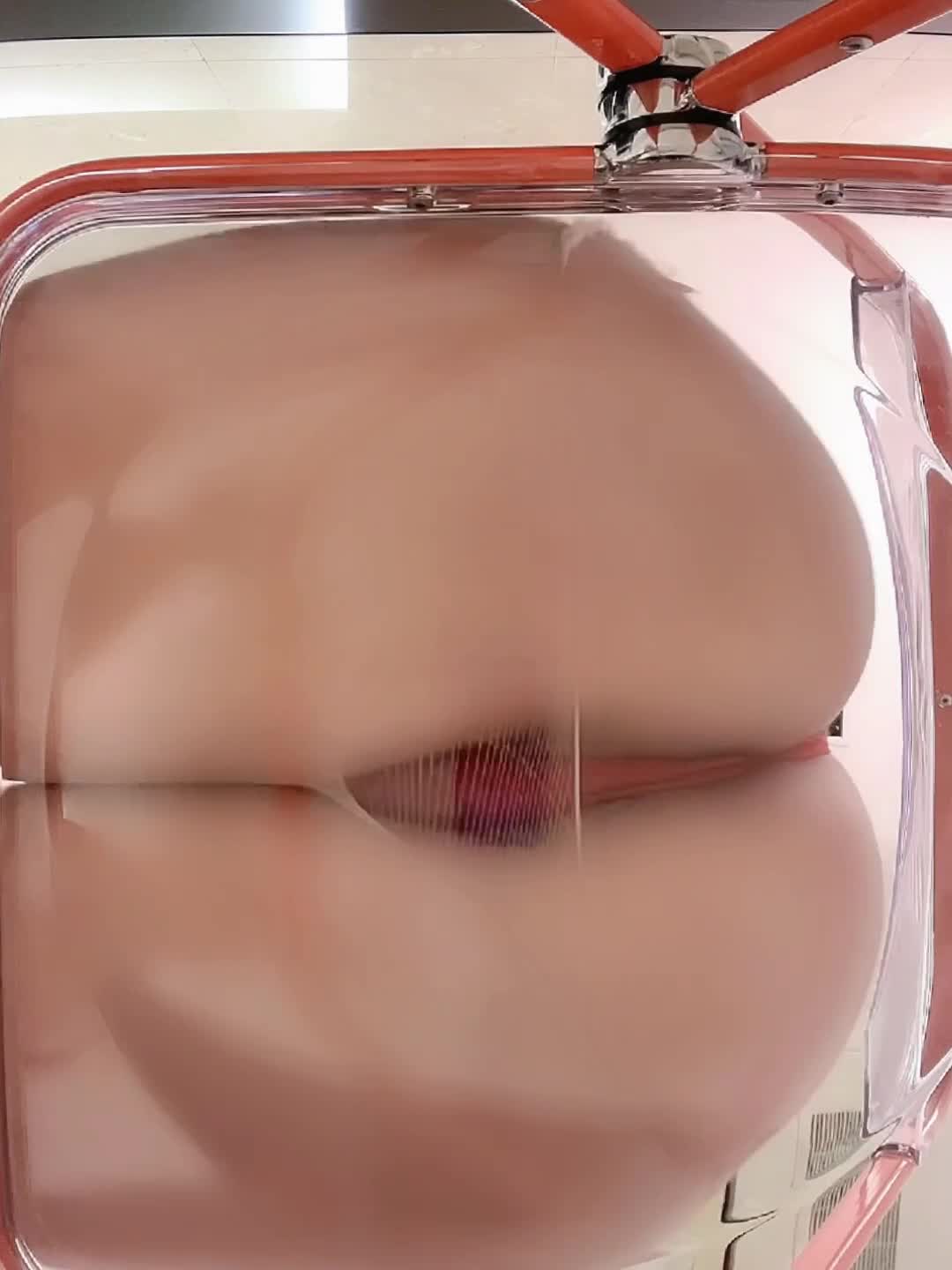 xxapple 213