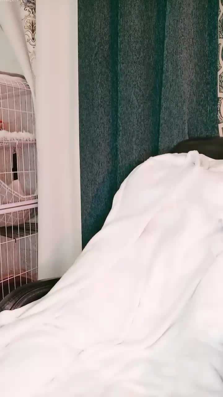 1 (26)