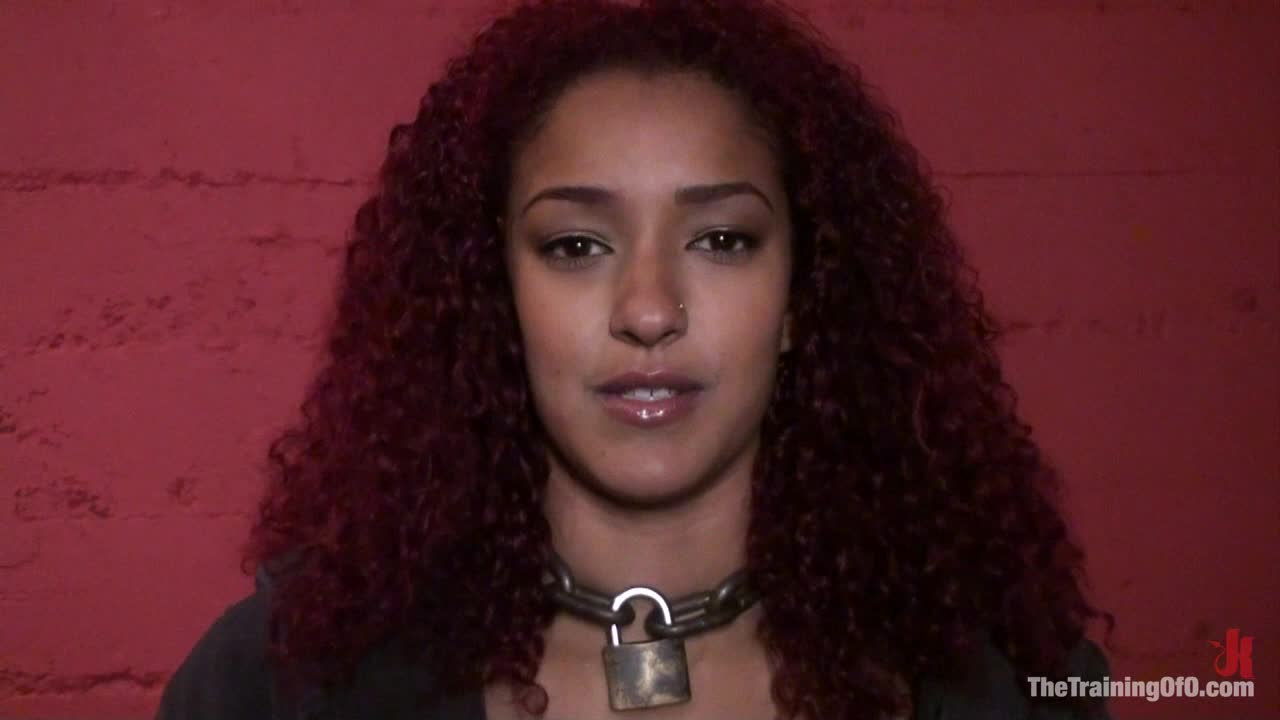 13.11.08.34186.Daisy.Ducati