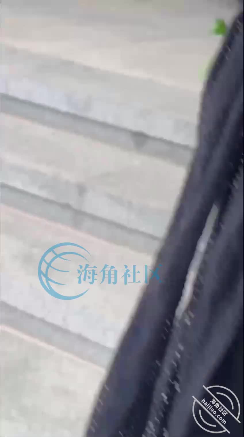 13【原创】剃毛的小侄女，在主人的调教下反差到极致，约在酒店狂干到颤抖[我与侄女的虐恋]