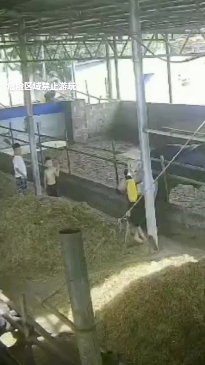 2.MP4