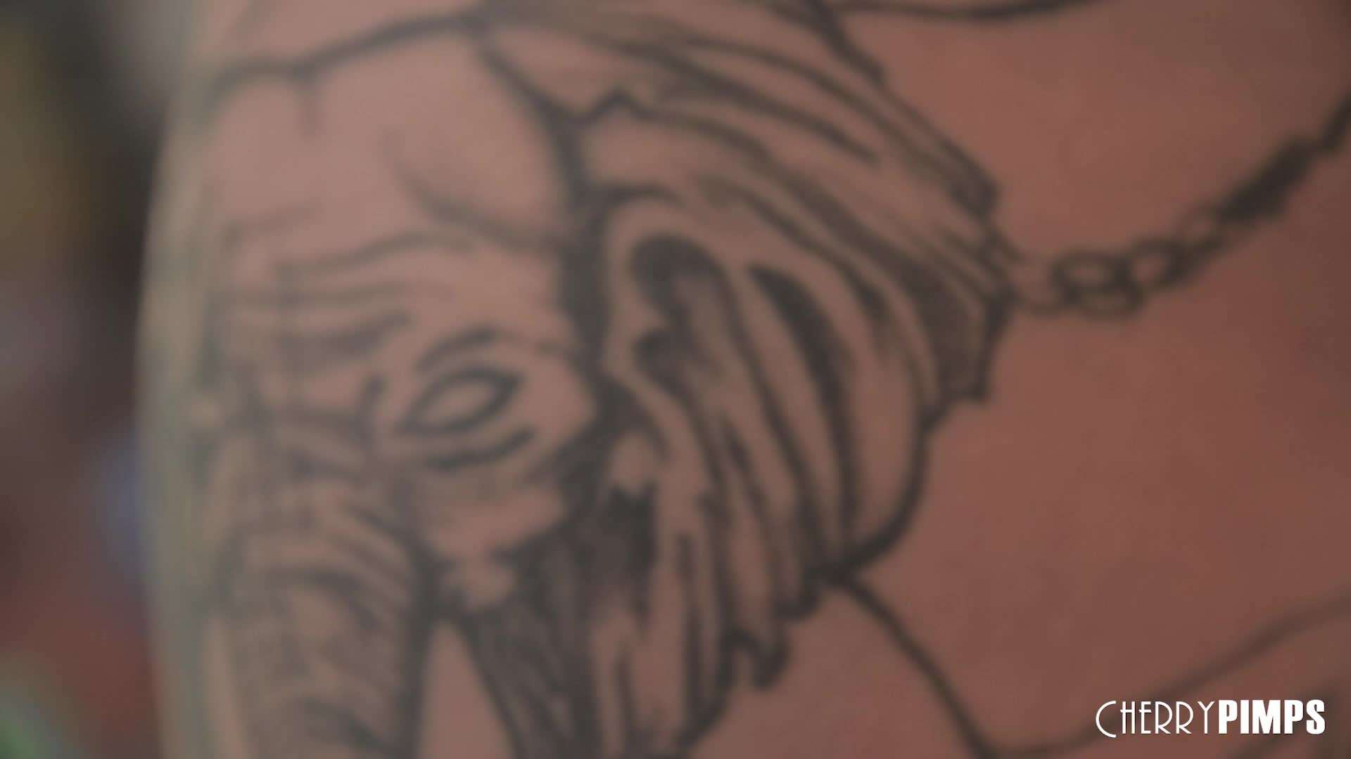 cpalt.21.10.25.luna.lovely