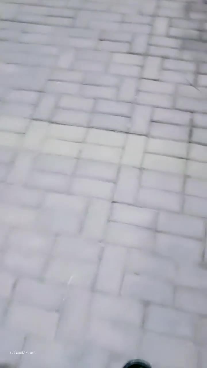 1 (33)