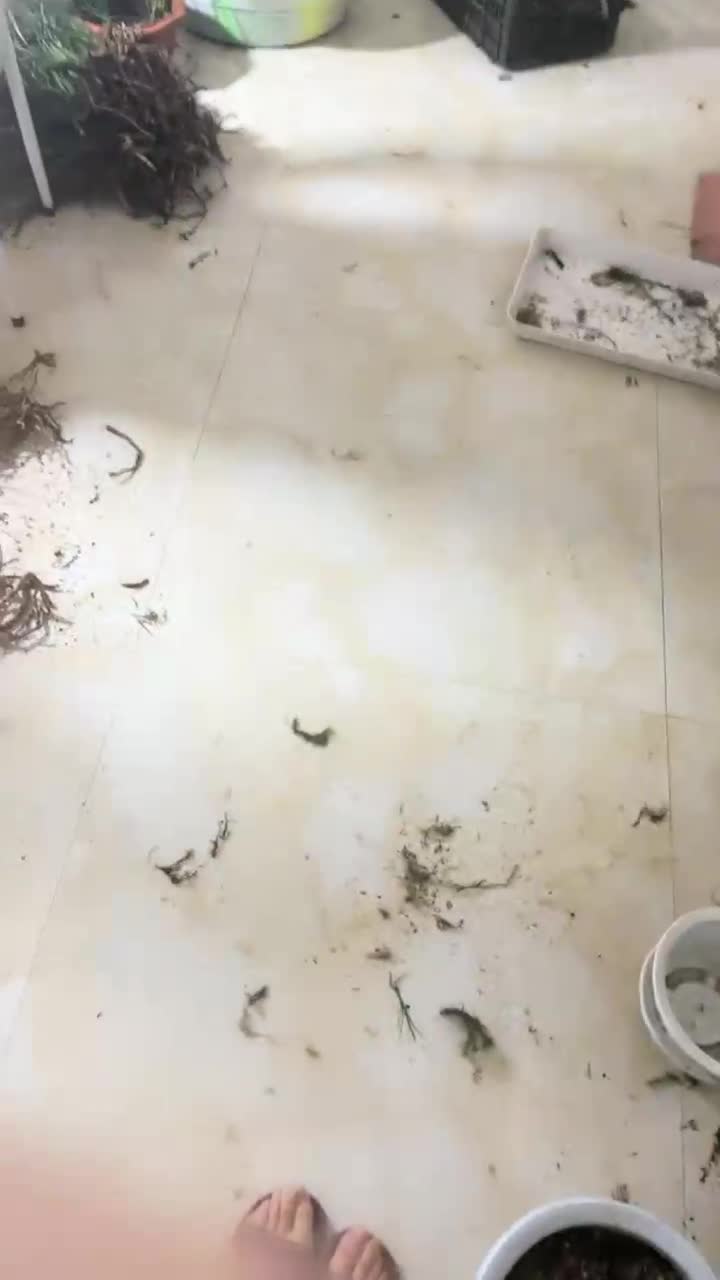1 (10)