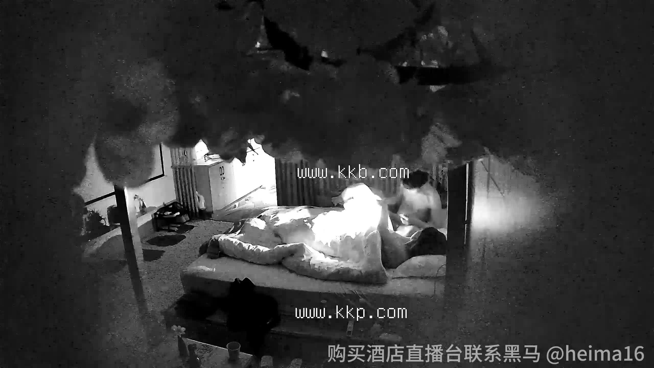 2024-3-14  安防主题酒店实录
 @Tp360 频道发布
视频水印不可信，被骗别找我