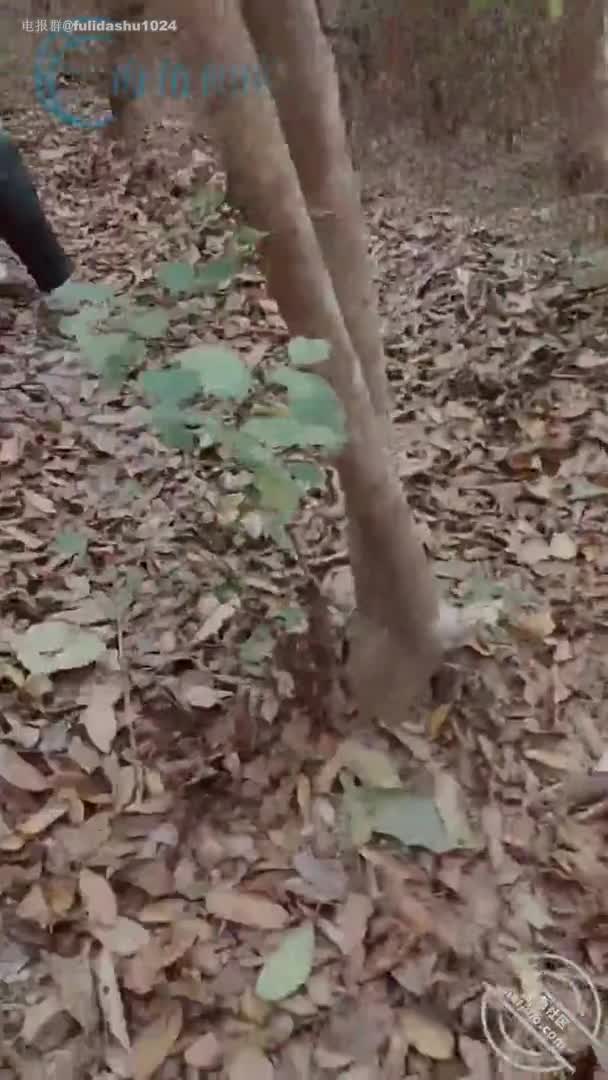 农村母子 (20).mp4