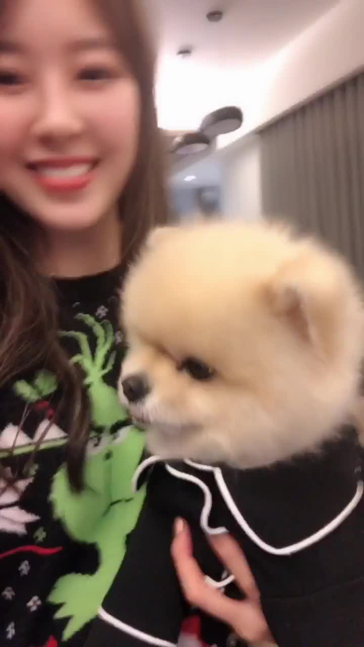 V (6).mp4