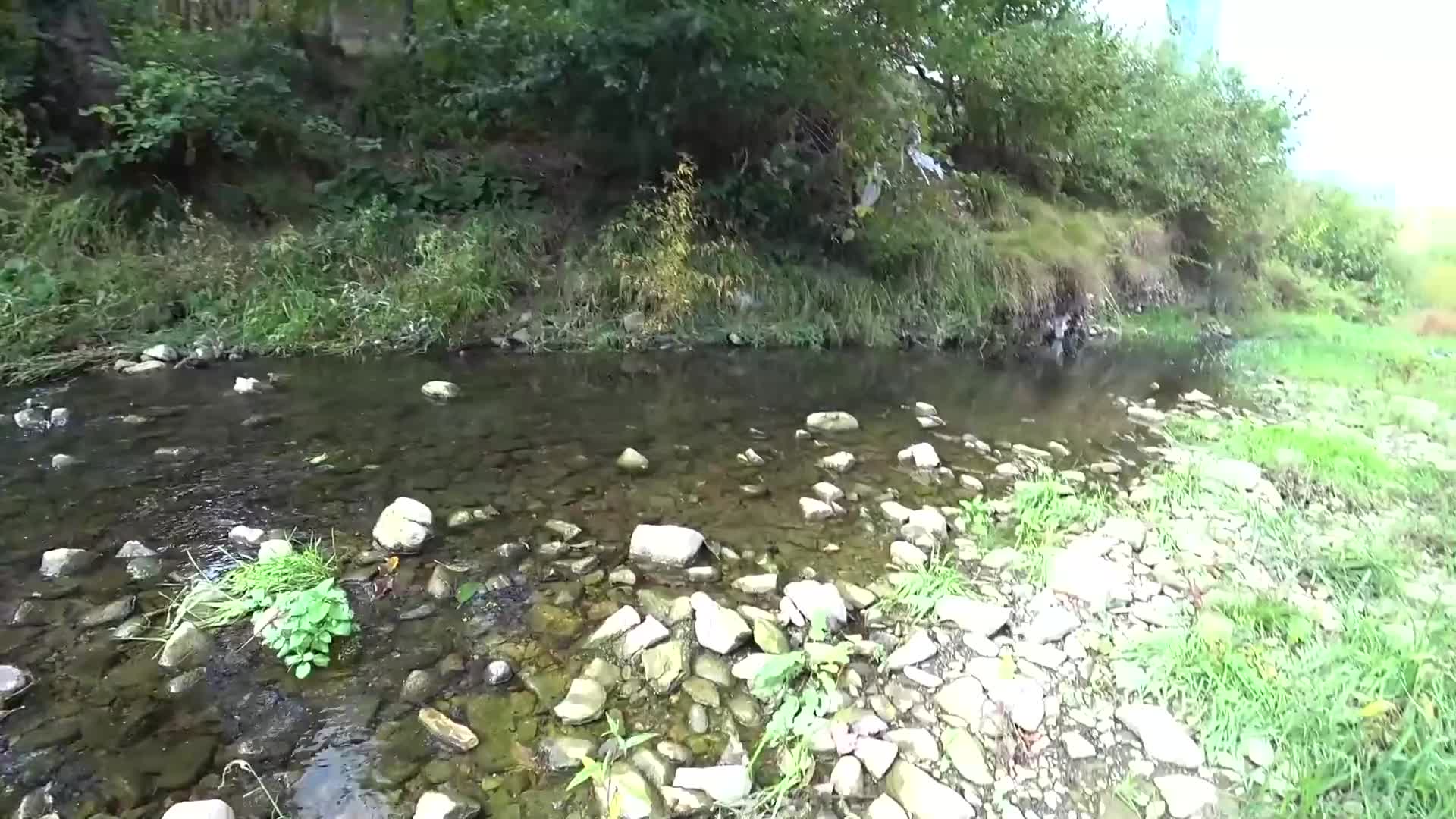 1 (46)