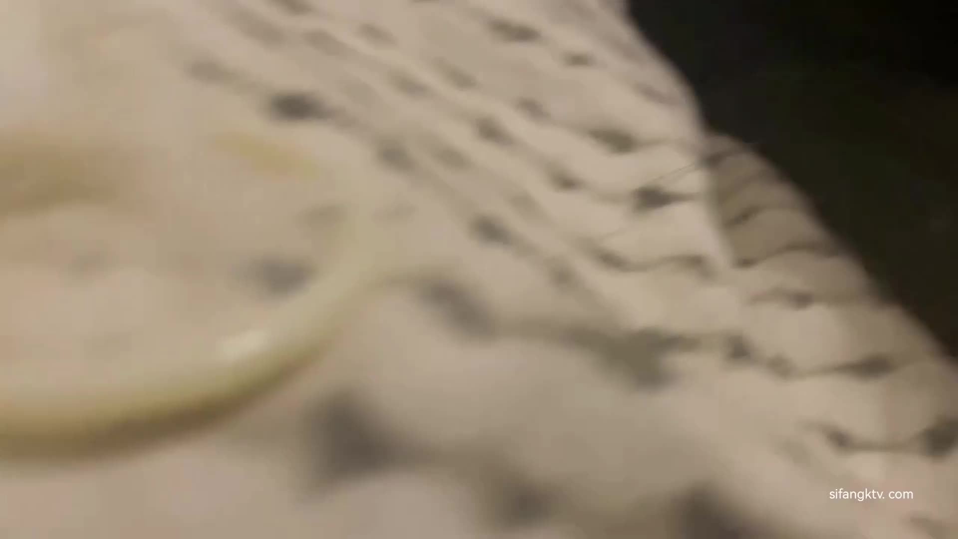 脸.mp4