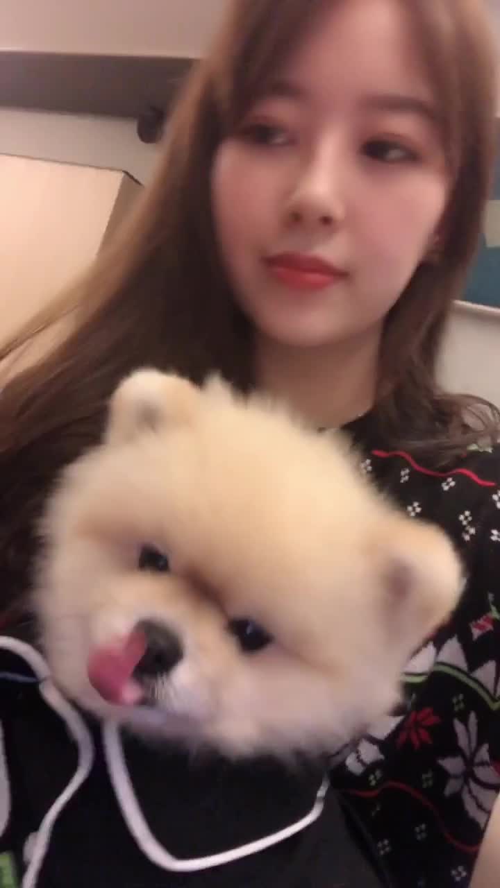 V (3).mp4