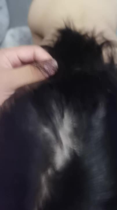 video_ (6).mp4