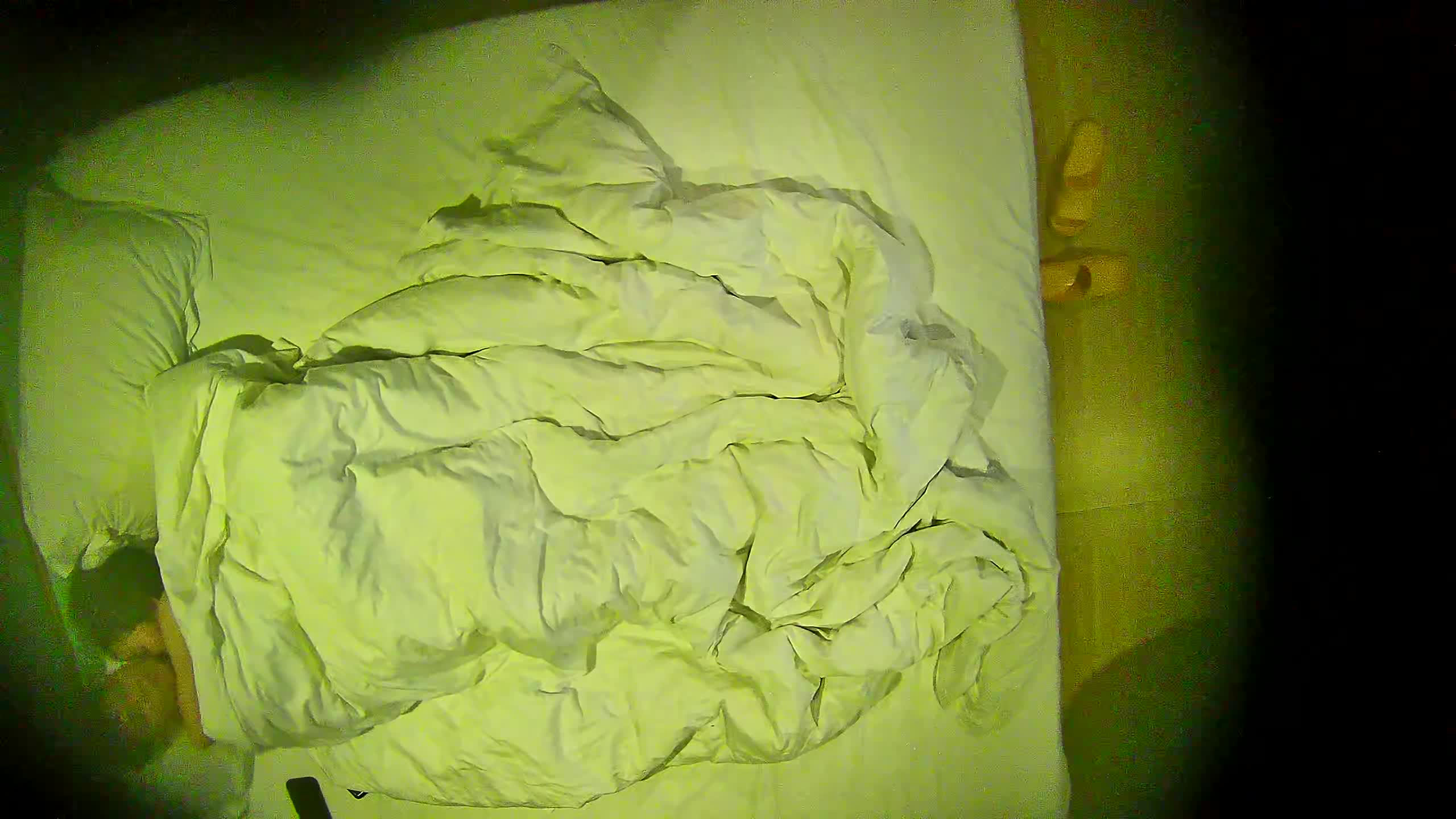 3729 - TL-IPC44AW-COLOR_74-15_20230712_2155.mp4