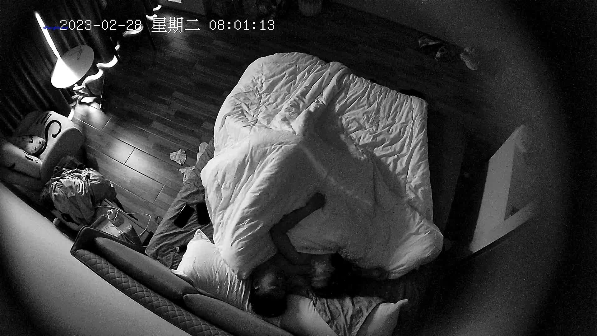 B3348 2023-02-28 新流出酒店偷拍大奶妹子被健壮男友暴力猛操叫声带着哭腔