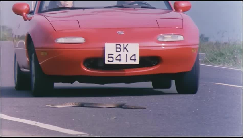 魔鬼天使.devil.anger.1995