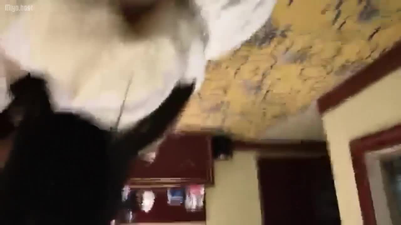 gc2048.com-VID_2019102419512297.mp4