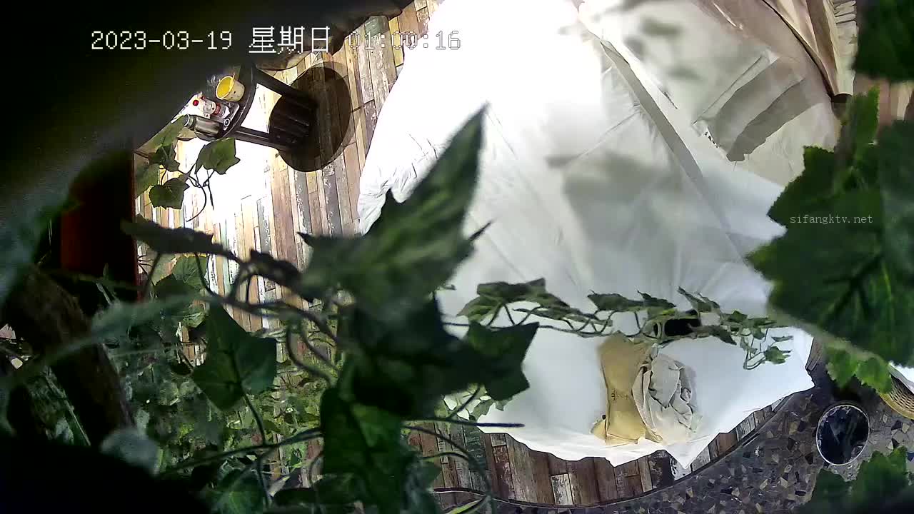 B3499 2023-03-19 最新流出情趣酒店绿叶高清偷拍外来务工的露水夫妻偷情 吮吸大奶姐姐嫩逼汁水