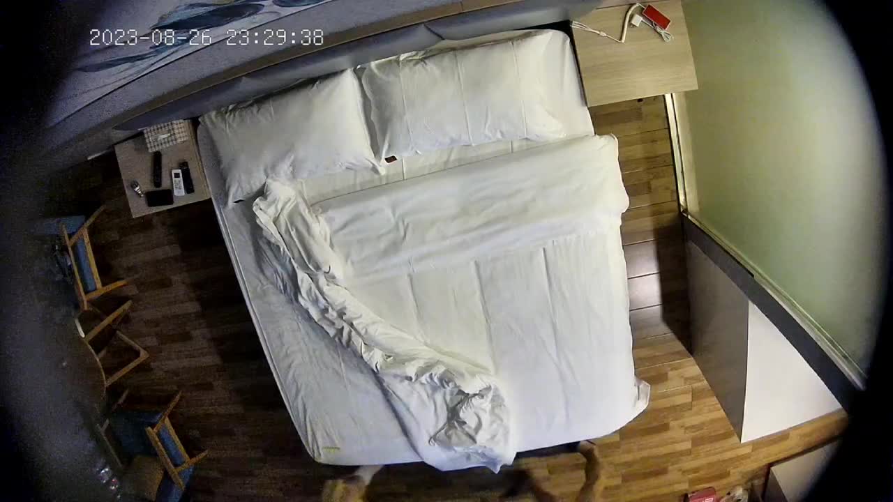 2023-08-26 最新流出酒店高清偷拍 土豪保养小三开房操逼 女的很骚全程说骚话 质量杠杠的看的一清二楚 连干两炮 69互舔通通到位