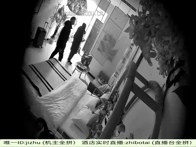 watermarked_video.mp4