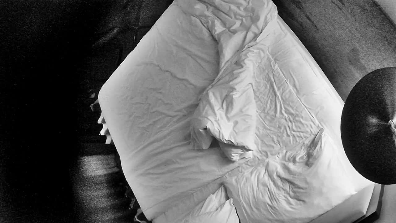 2023-08-08 安防主题酒店实录