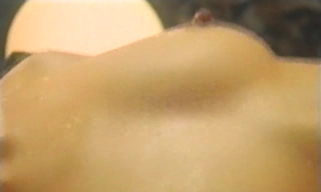 lustful revenge (1996)