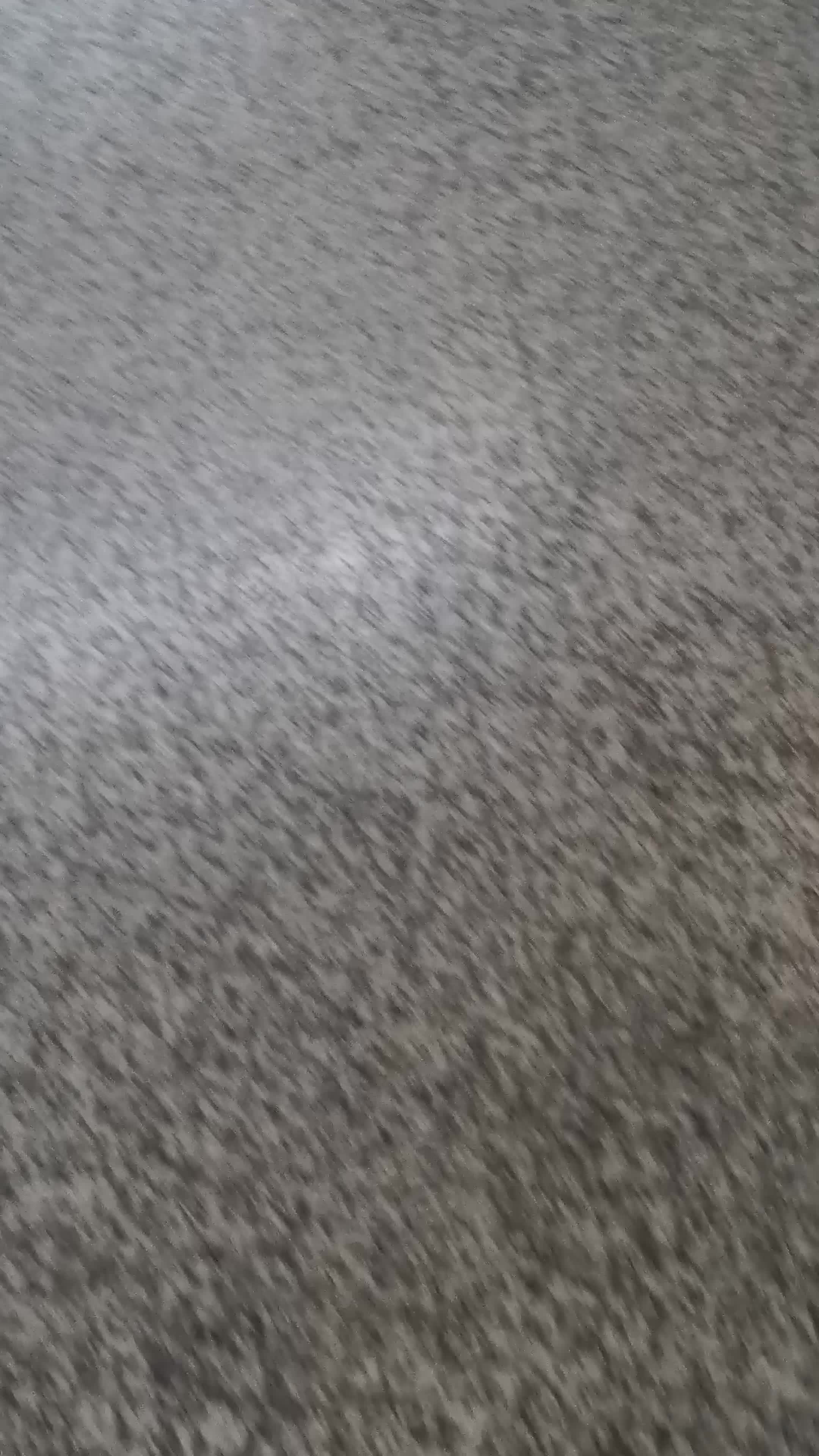 1015.mp4