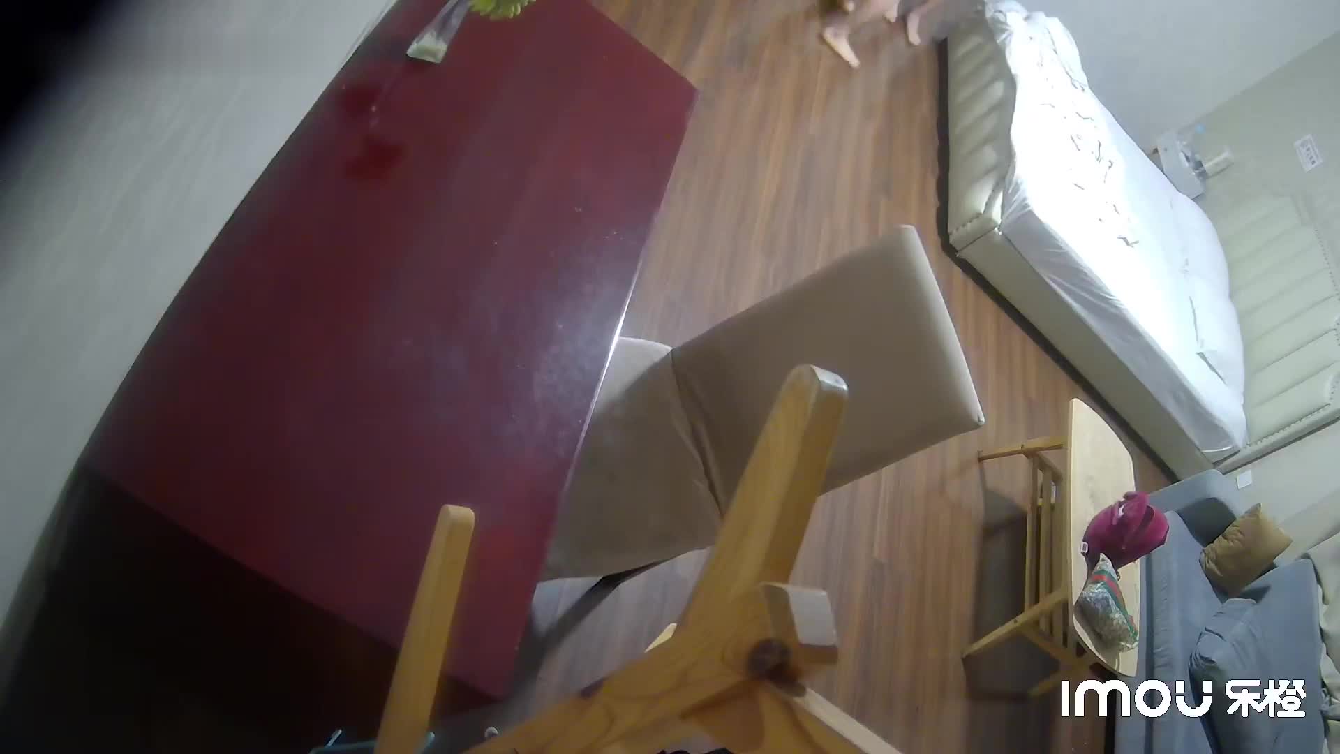 1 (11)