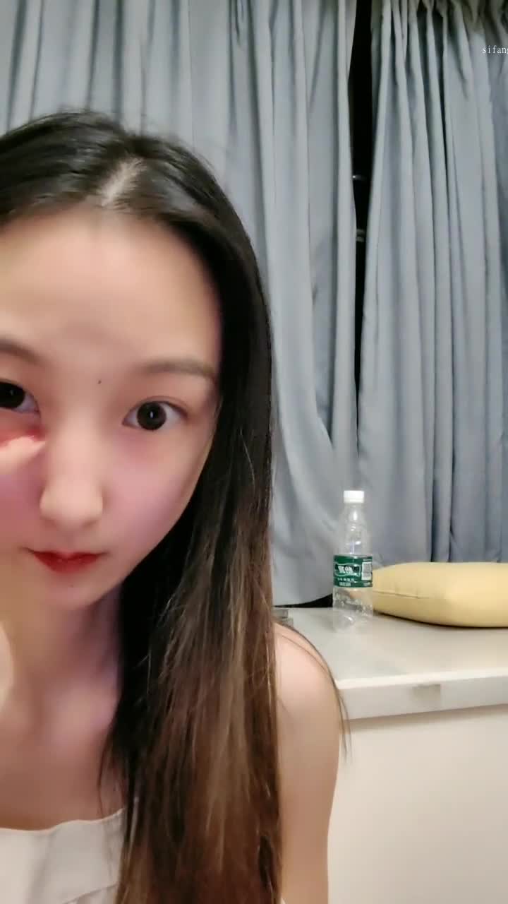一只小胖猪8-21