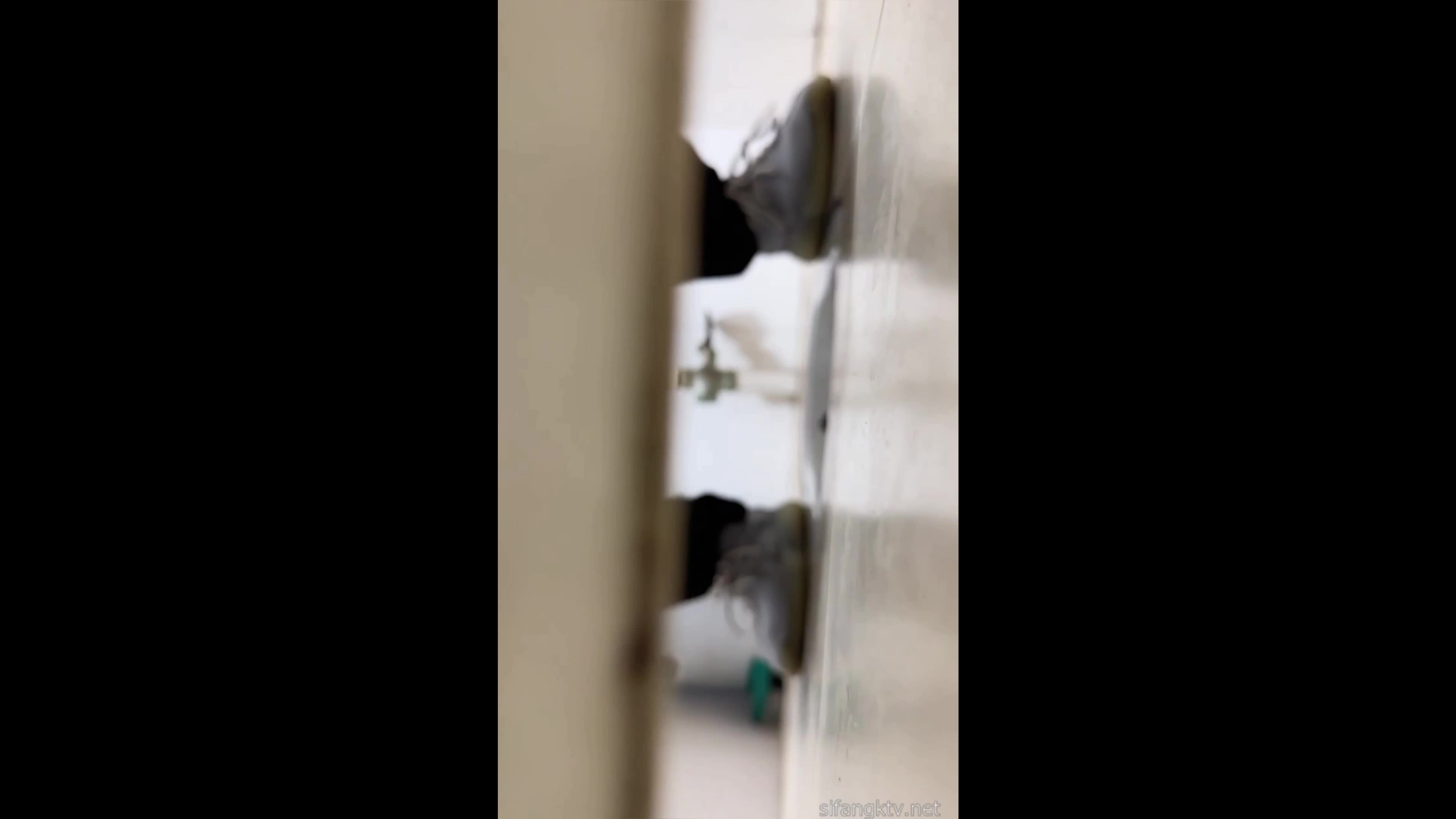 9 (2).mp4