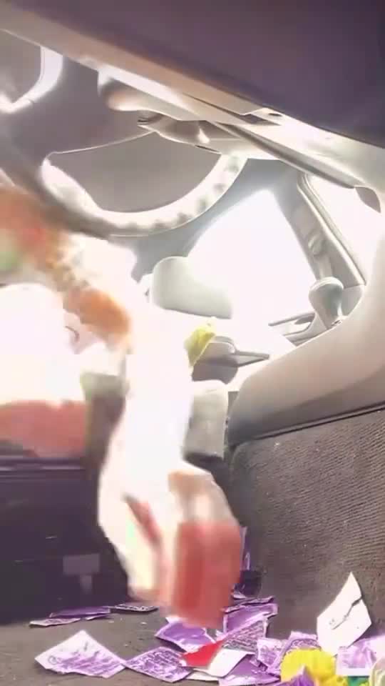 psvREWBppe16JJs3.mp4