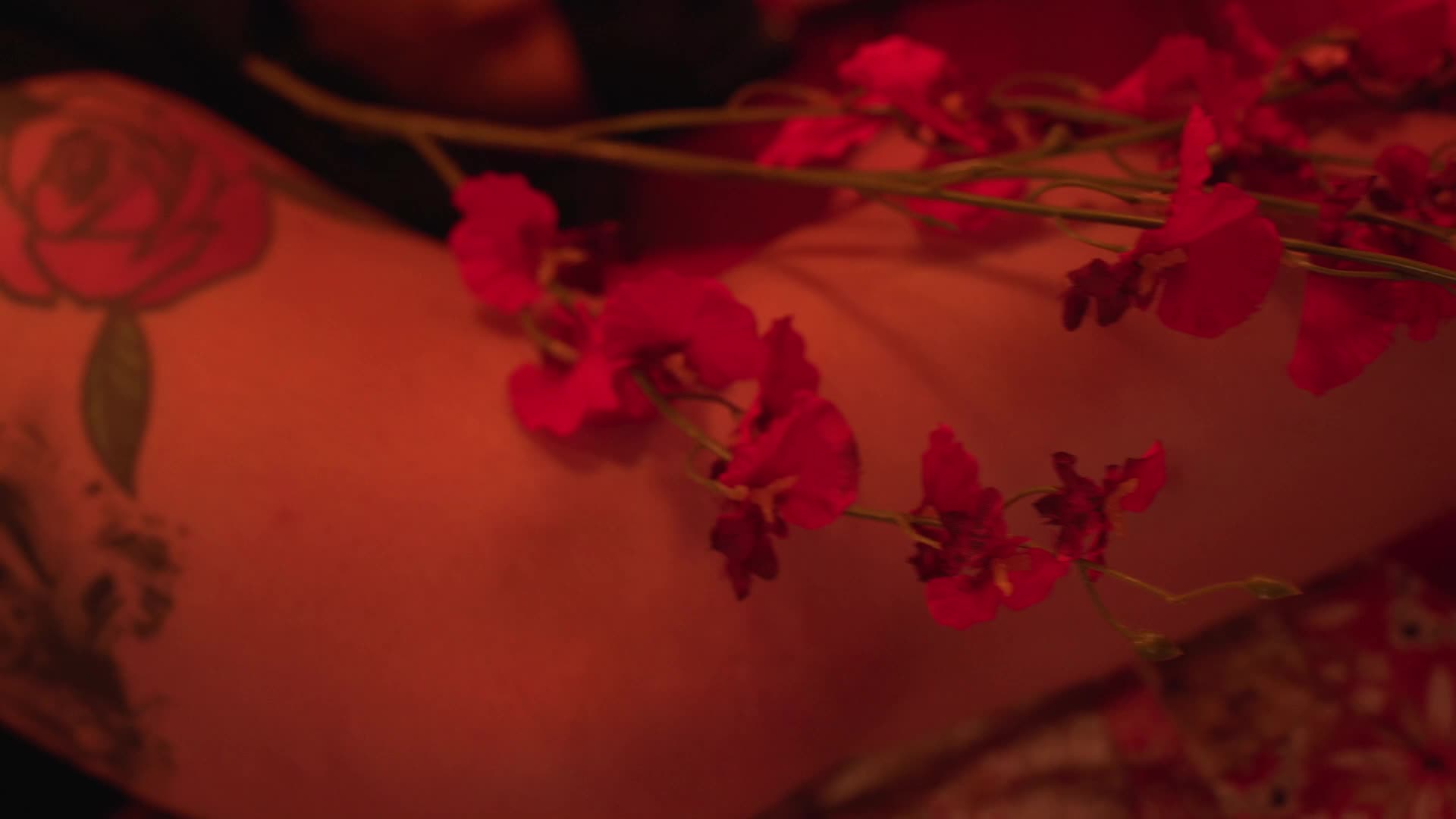  (1)